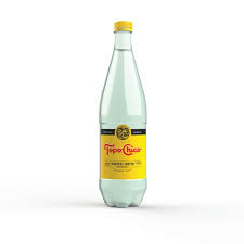 Topo Chico 24-15.5oz bottle